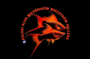 Polski klub miłośników mieczyków Hellera I fanów ryb żyworodnych.
