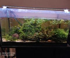 Aquarium 105 litres