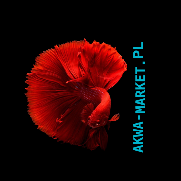 AKWA-MARKET - classified ads and business directory
